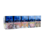 Marlboro Blue Menthol (Ice) 20'sx10 (Ream)